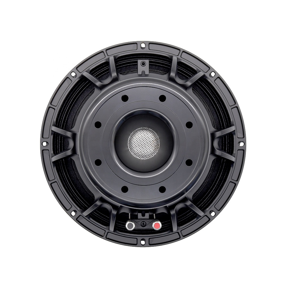 Audio & Music Xbox - 12DS Pro Audio Equipment 12'' Speaker