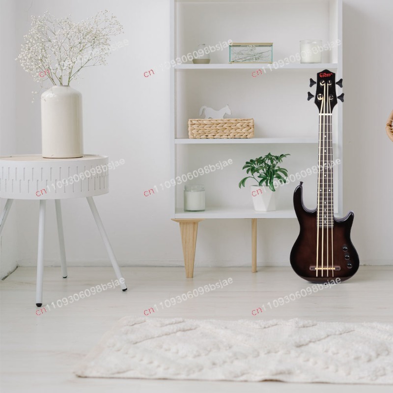 Black Bass Electric Guitar Map - đánh giá và giá Bass Guitar Strings