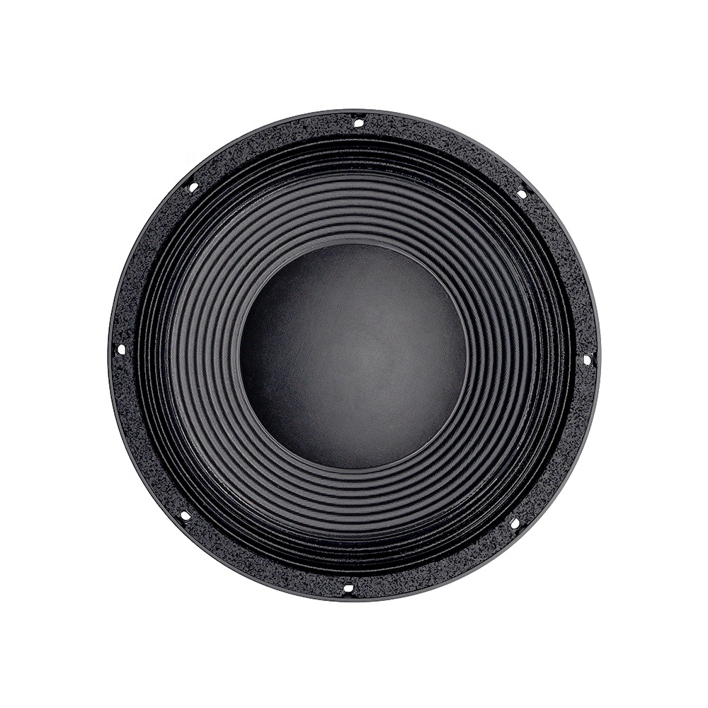12DS Pro Audio Equipment 12''  - đánh giá và giá Audio & Music Xbox