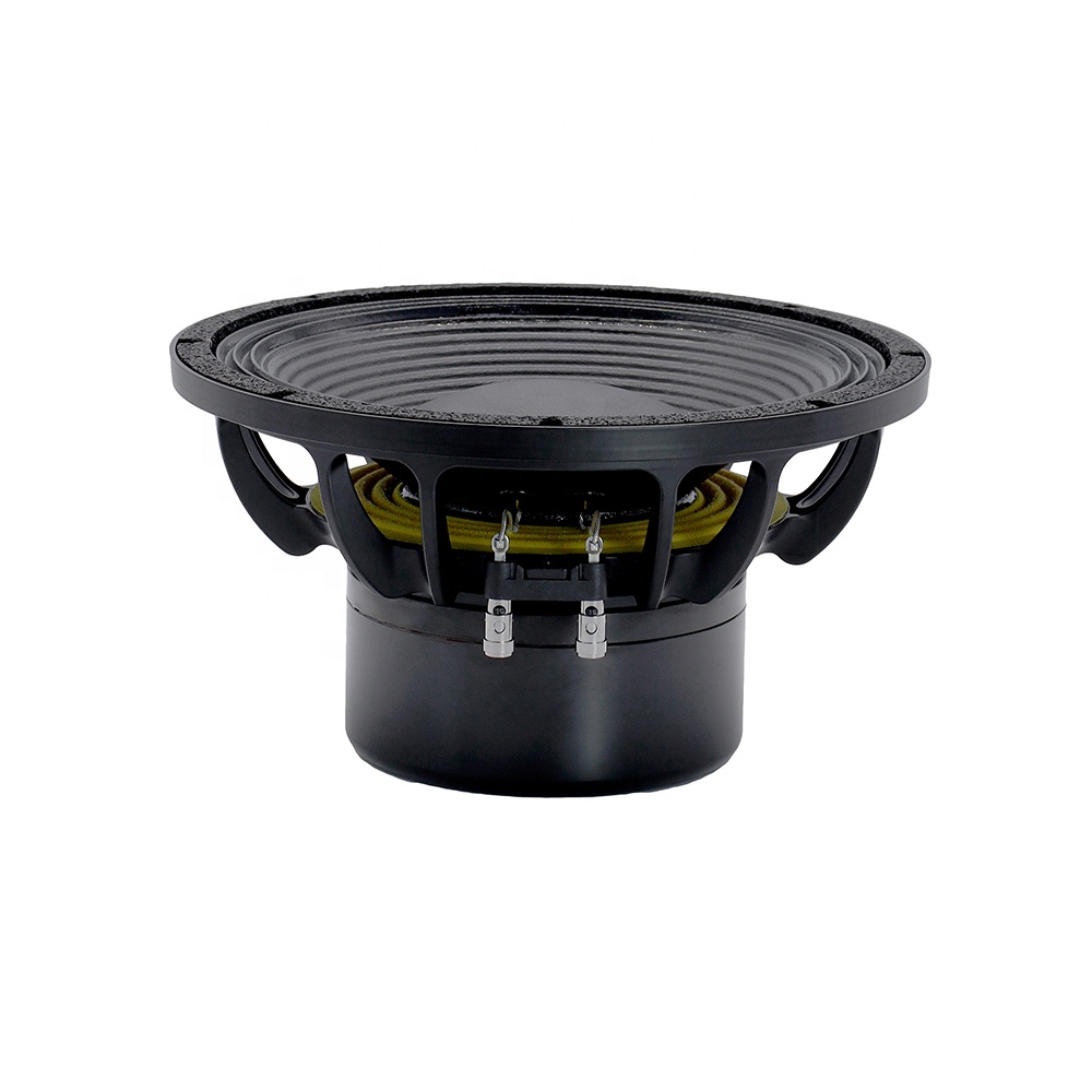 12DS Pro Audio Equipment 12''  - đánh giá và giá Audio & Music Xbox
