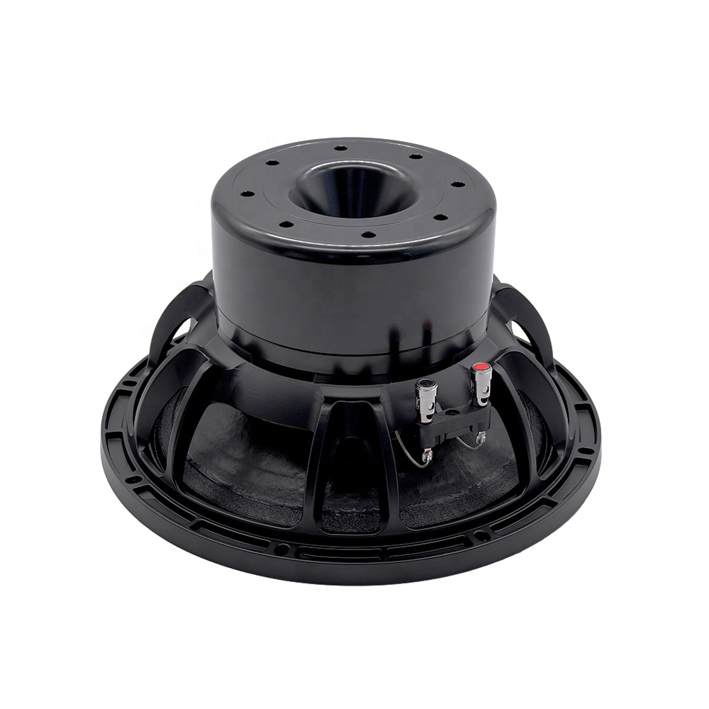 12DS Pro Audio Equipment 12''  - đánh giá và giá Audio & Music Xbox